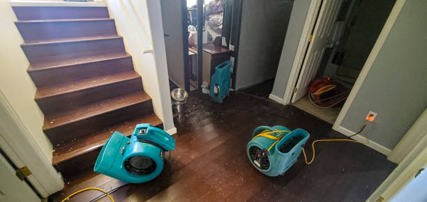 Best Sewage cleanup and water damage restoration  in Bay Springs, MS