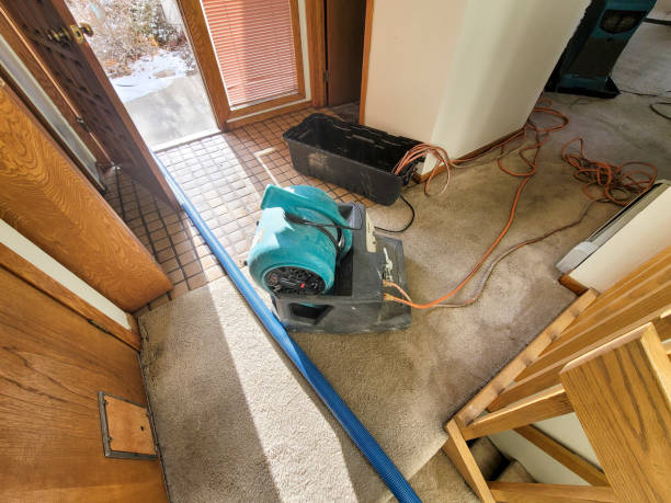 Best Water damage restoration near me  in Bay Springs, MS