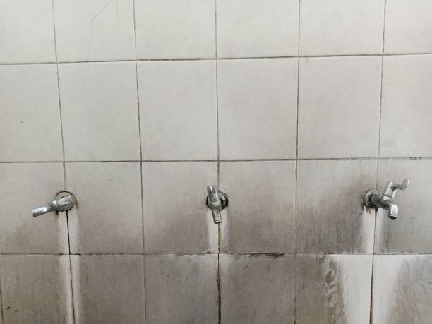 Best Ceiling water damage repair  in Bay Springs, MS