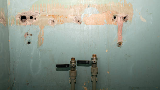 Best Residential water damage restoration  in Bay Springs, MS