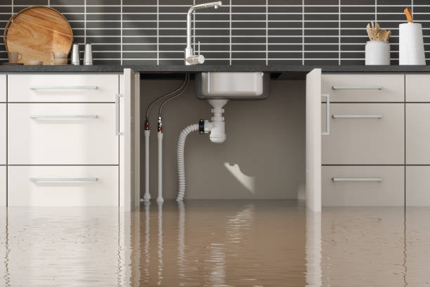 Best Basement water damage restoration  in Bay Springs, MS