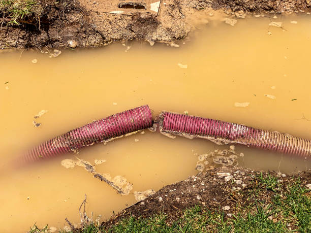 Best Commercial water damage restoration  in Bay Springs, MS