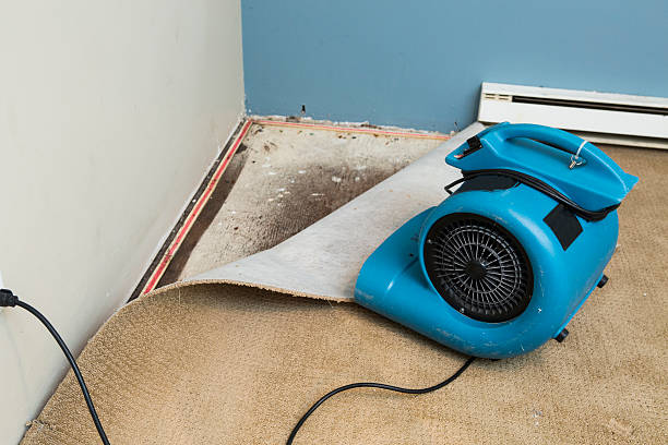Best Water damage restoration services  in Bay Springs, MS